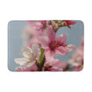 Recherche de sakura photographie Photographie de la nature