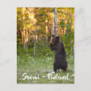 Search for finnish Souvenir