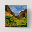 Search for canyons buttons Scenic