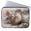 Recherche de de chaton ordinateurs portables housses Aucunes personnes