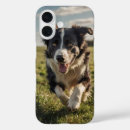 Search for colly iphone cases Pet
