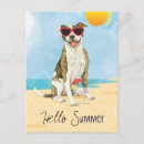 Recherche de chien pitbull cartes postales Pittie