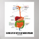 Recherche de intestin posters Anatomie