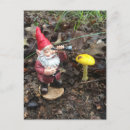 Recherche de gnomes cartes postales Pour tous