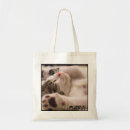 Recherche de chaton sacs Imprimer
