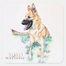 Search for malinois stickers Pets
