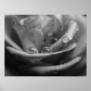 Recherche de monochrome photographie Photographie de la nature