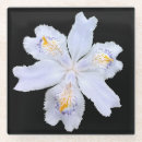 Recherche de iris dessous de verres Nature