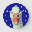 Search for animal clocks Cute