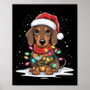 Search for christmas dachshund posters Ugly sweater
