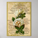 Recherche de perfume posters Antique