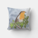 Search for robin christmas pillows Winter