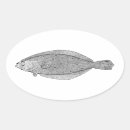 Search for flounder stickers Flatfish