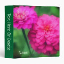 Recherche de zinnia rose Nature