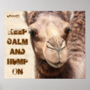 Recherche de camel posters Chameau