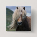 Recherche de petits poneys badges Cheval