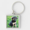 Search for german shepherd keychains Cute