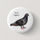 Recherche de pigeons badges Extérieur