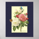 Recherche de redouté posters Floral
