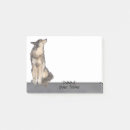 Recherche de loup Animal