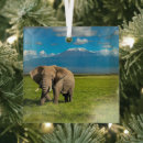 Search for tanzania ornaments African elephant