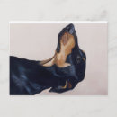 Recherche de pinscher dobermann cartes postales Animal de compagnie