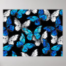 Recherche de transparent posters Motif