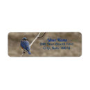 Search for bluebird return address labels Birds