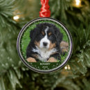 Search for photo pet memorial ornaments Simple