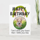 Search for corgis cards Humour