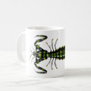 Search for mantis shrimp Sea
