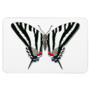 Recherche de papillon blanc magnets Illustration