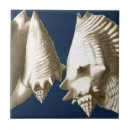 Search for seashell tiles Nautical