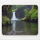 Search for gorge mousepads Columbia river gorge