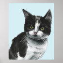 Search for kitten posters For cat lovers