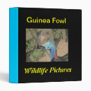 Search for fowl binders Poultry