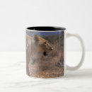 Search for lion picture mugs Kenya