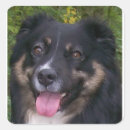 Search for x mas stickers Dog