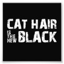 Recherche de minou mignon art Humour