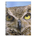 Search for beak notebooks Wildlife