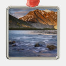 Search for british ornaments Ie