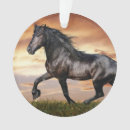 Search for black horse ornaments Horses