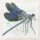 Search for dragonfly coasters Watercolor