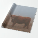 Search for cattle wrapping paper Retro
