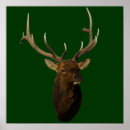 Search for bull head posters Elk