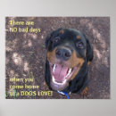 Recherche de chiot rottweiler posters Amour