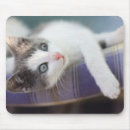 Search for bed mousepads Pets