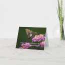 Search for skipper cards Butterfly