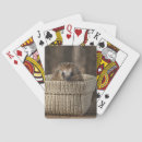 Recherche de hérisson jeux de cartes Nature