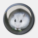 Recherche de tube magnets Drôle